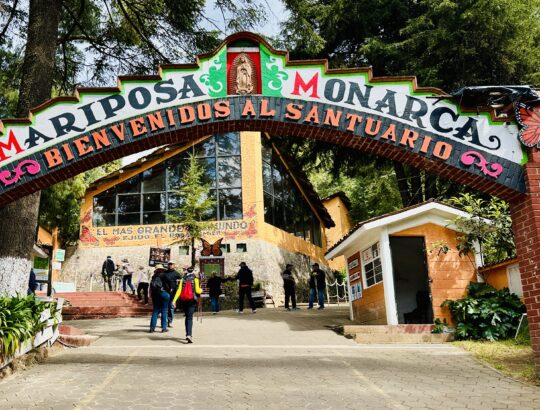 El Rosario is one of several sanctuaries operated by local people within the Monarch Butterfly Reserve.