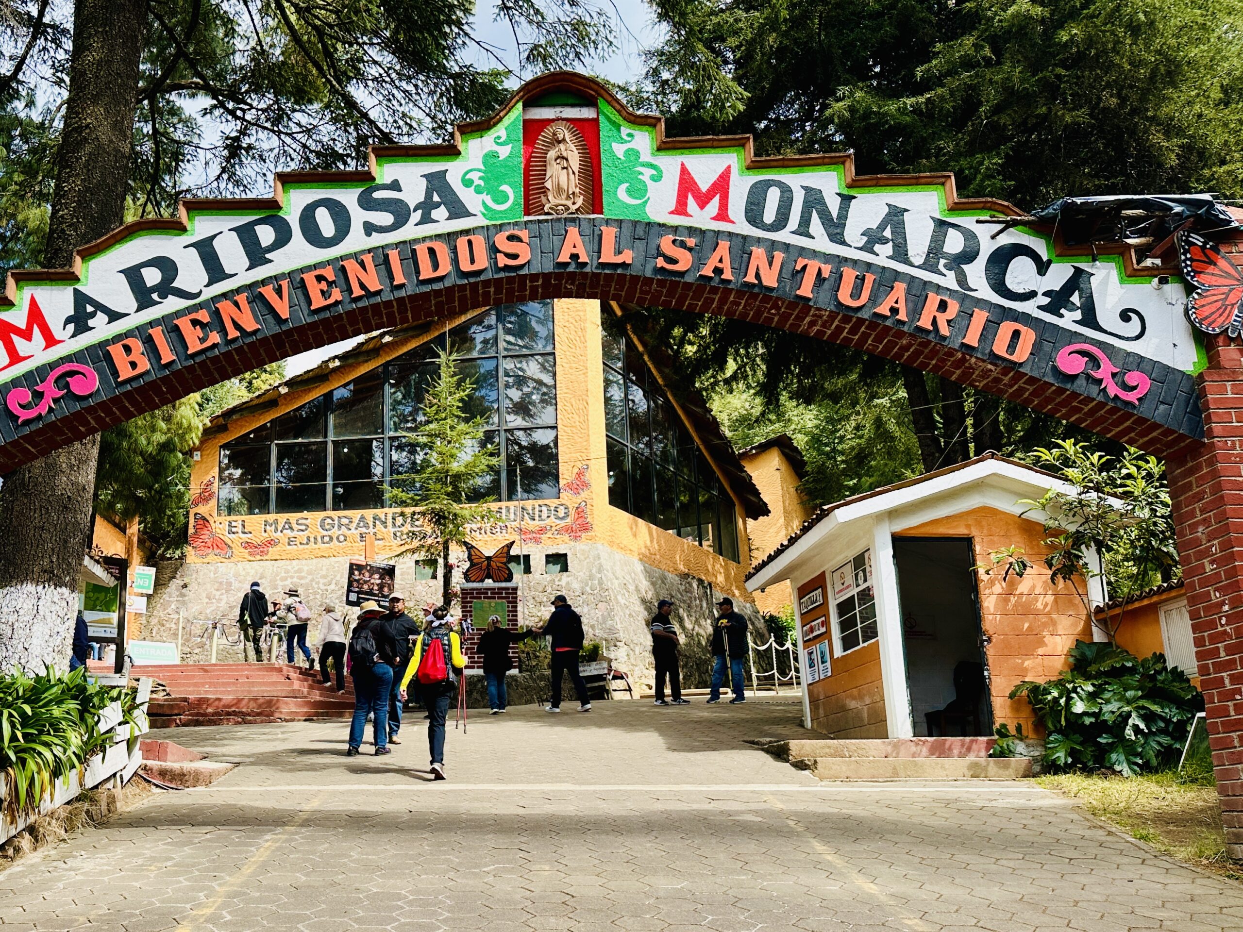 El Rosario is one of several sanctuaries operated by local people within the Monarch Butterfly Reserve.