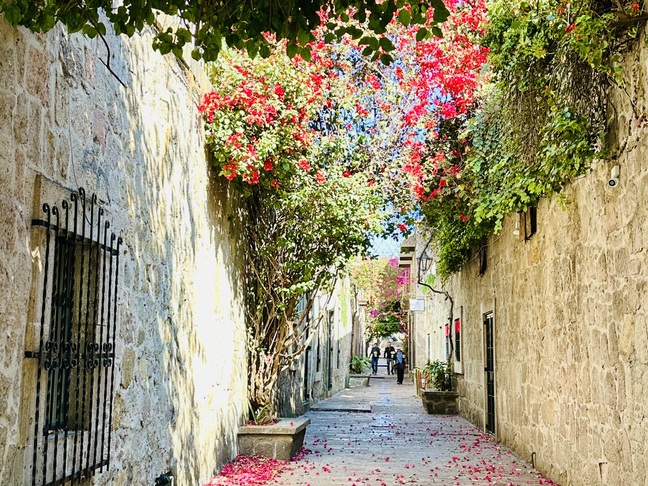 Flowering plants beckon visitors to Romance Alley in Morelia. Photo By Barbara Redding